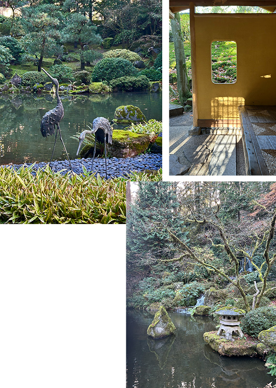 Japanese Gardens Portland